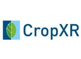 Logo_cropxr
