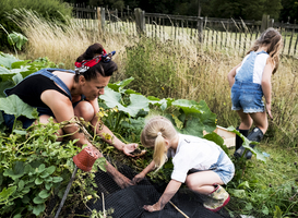Moestuincoaches leren kinderen waar het eten vandaan komt Moestuincoaches leren kinderen waar het eten vandaan komt
